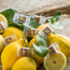 Minuto Croccantino Nudo senza cioccolato - LIMONE