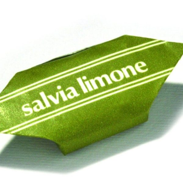 Classiche Quadre - Salvia Limone (1 kg)